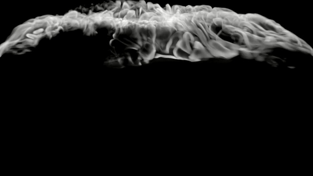 Video Reference: Black, Black-and-white, Smoke, Monochrome photography, Photography, Organism, Darkness, Monochrome, Macro photography, Jaw
