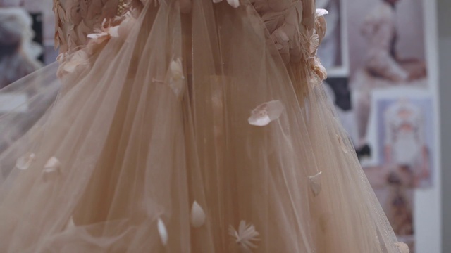 Video Reference: Dress, Clothing, Veil, Gown, Bridal party dress, Bridal accessory, Wedding dress, Bridal clothing, Shoulder, A-line