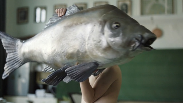 Video Reference: Fish, Fish, Mouth, Carp, Giant seabass, Bass, Tilapia, Bony-fish