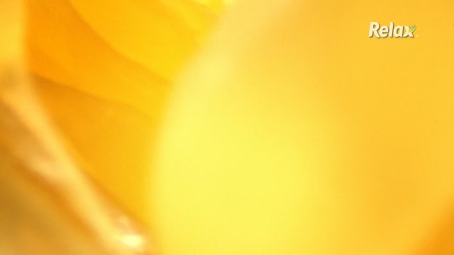 Video Reference: Yellow, Orange, Amber, Close-up, Macro photography, Plant