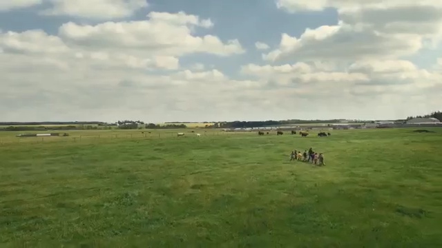 Video Reference: grassland, pasture, ecosystem, plain, prairie, steppe, sky, herd, meadow, grass