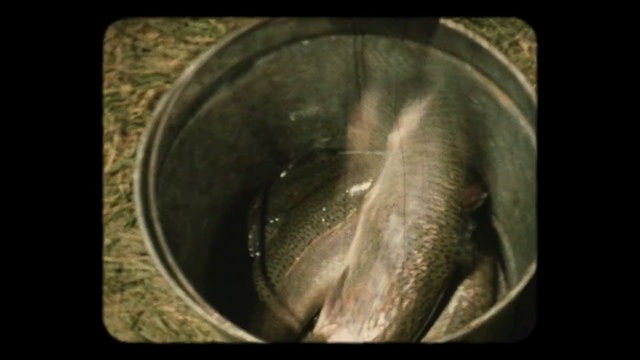 Video Reference: Close-up, Organism, Mouth, Photography, Wildlife