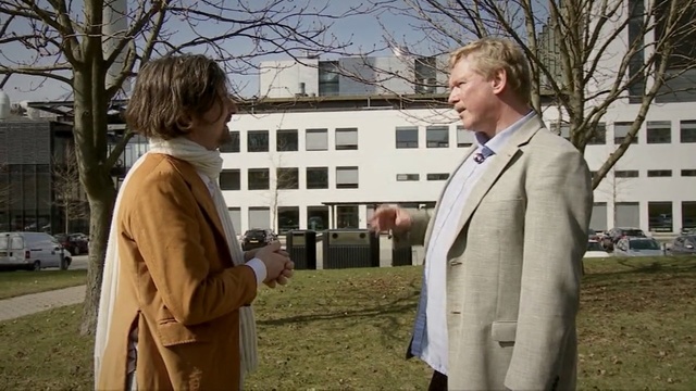 Video Reference: tree, suit, outerwear, grass, plant, girl, winter, fun