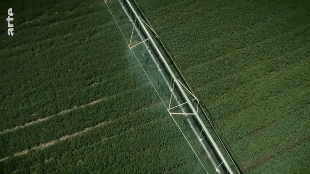 Video Reference: Aerial photography, Green, Grass, Land lot, Line, Grass, Field, Photography, Artificial turf, Plant