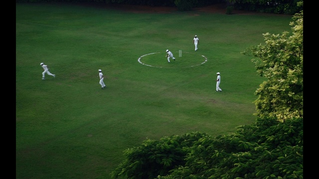 Video Reference: Green, Sport venue, Grass, Stadium, Grass family, Atmosphere, Team sport, Player, Lawn, Grassland