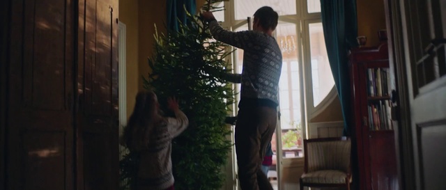 Video Reference: Tree, Standing, Christmas tree, Fun, Window, Room, Home, Plant, Branch, Interior design