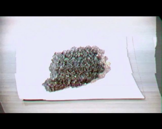 Video Reference: Food, Font, Cuisine, Plant, Fashion accessory