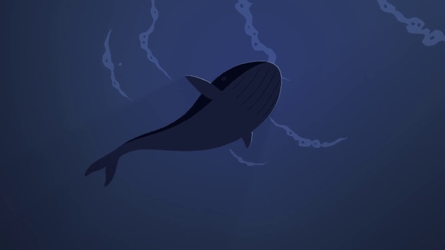 Video Reference: Fin, Fish, Underwater, Cartilaginous fish, Marine biology, Wing, Art, Electric blue, Tail, Marine mammal