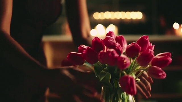 Video Reference: Flower, Plant, Window, Petal, Flash photography, Flower Arranging, Herbaceous plant, Magenta, Rose family, Flowering plant