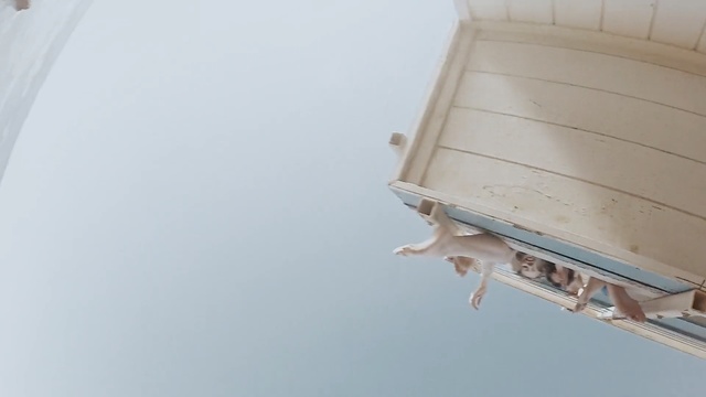 Video Reference: protective covering, lampshade