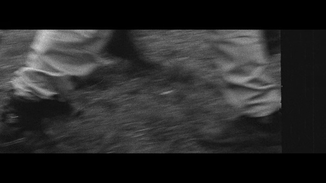 Video Reference: Black, Photograph, Monochrome photography, White, Black-and-white, Darkness, Monochrome, Photography, Stock photography, Neck, Sitting, Bed, Blurry, Cat, Man, Television, Standing, Room, Laying, Night, Black and white, Screenshot, Abstract, Image, Blur