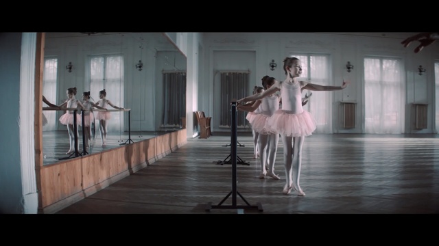 Video Reference: Ballet dancer, Ballet, Ballet tutu, Dancer, Dance, Performance art, Choreography, Costume, Performing arts, Dress