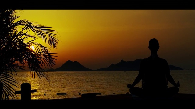 Video Reference: Sky, Sunset, Horizon, Sunrise, Afterglow, Tree, Evening, Silhouette, Tropics, Morning