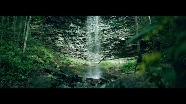 Video Reference: Nature, Green, Water, Vegetation, Forest, Natural environment, Natural landscape, Jungle, Nature reserve, Rainforest