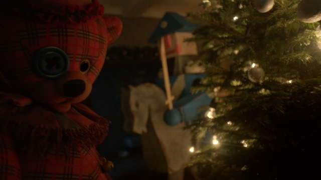 Video Reference: christmas, night, darkness, christmas decoration, lighting, tree, light, event, christmas tree, christmas lights