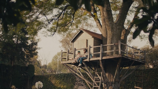 Video Reference: House, Tree house, Tree, Home, Building, Sky, Painting, Rural area, Branch, Room, Person