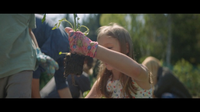 Video Reference: Photograph, Fun, Snapshot, Child, Summer, Tree, Adaptation, Sunlight, Photography, Happy