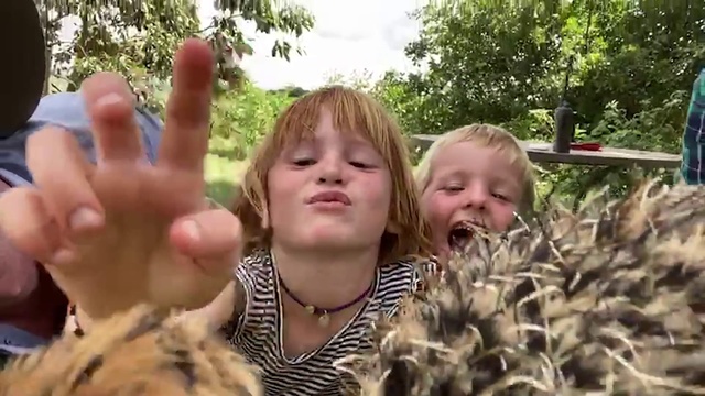Video Reference: People, Finger, Adaptation, Hand, Thumb, Fun, Tree, Gesture, Child, Plant