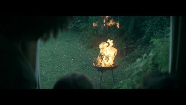 Video Reference: darkness, flame, light, screenshot, atmosphere, lighting, sunlight, night, fire, organism
