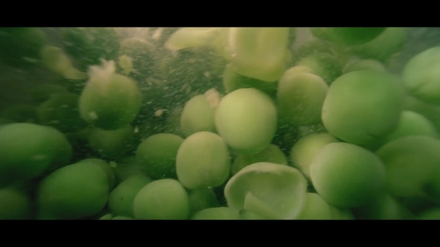Video Reference: Green, Nature, Plant, Leaf, Organism, Vitis