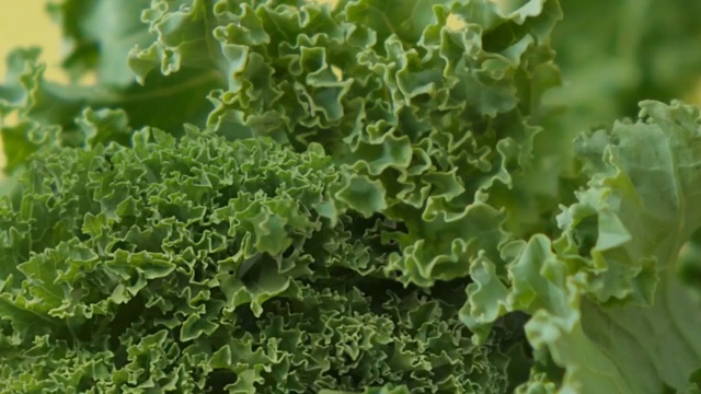 Video Reference: Flower, Plant, Leaf, Leaf vegetable, Lettuce, Flowering plant, Herb, Groundcover, Vegetable, Plant community
