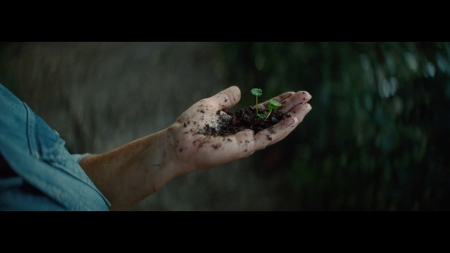 Video Reference: Green, Frog, Hand, Amphibian, Toad, Arm, Tree frog, Finger, Human, Adaptation