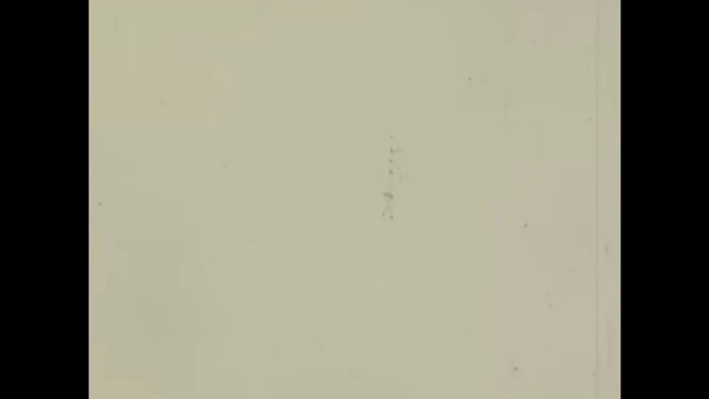 Video Reference: White, Black, Photograph, Text, Green, Brown, Wall, Atmospheric phenomenon, Line, Font