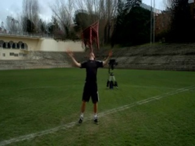 Video Reference: Player, Sports, Sport venue, Ball game, Grass, Sports equipment, Team sport, Ball, Football, Tournament