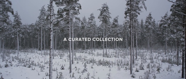 Video Reference: snow, winter, tree, freezing, forest, frost, woodland, blizzard, spruce fir forest, biome, Person