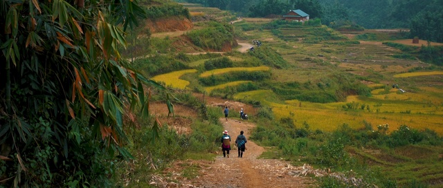 Video Reference: Natural landscape, Terrace, Hill station, Highland, Hill, Rural area, Landscape, Nature reserve, Plantation, Grassland