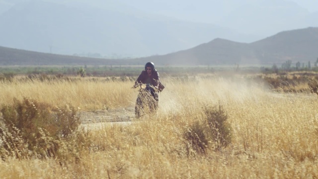 Video Reference: Grassland, Steppe, Ecoregion, Grass, Grass, Savanna, Prairie, Vehicle, Plain, Plant community, Person