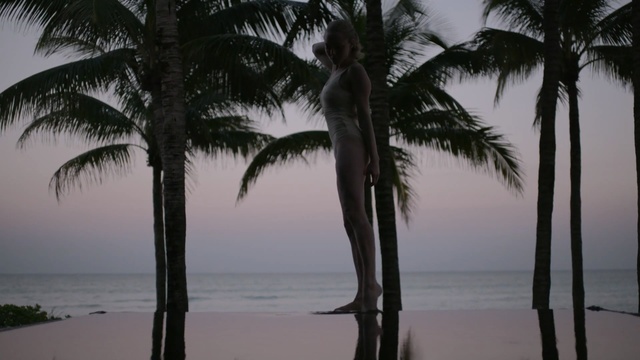 Video Reference: Tree, Palm tree, Tropics, Arecales, Woody plant, Beach, Attalea speciosa, Plant, Vacation, Shore