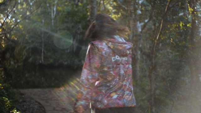 Video Reference: Woodland, Natural environment, Leaf, Forest, Tree, Outerwear, Sunlight, Organism, Jungle, Jacket