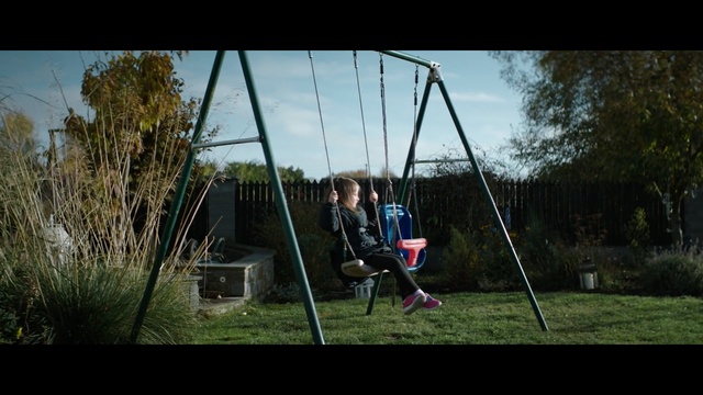 Video Reference: swing, nature, outdoor play equipment, tree, sky, grass, photography, fun, leisure, plant