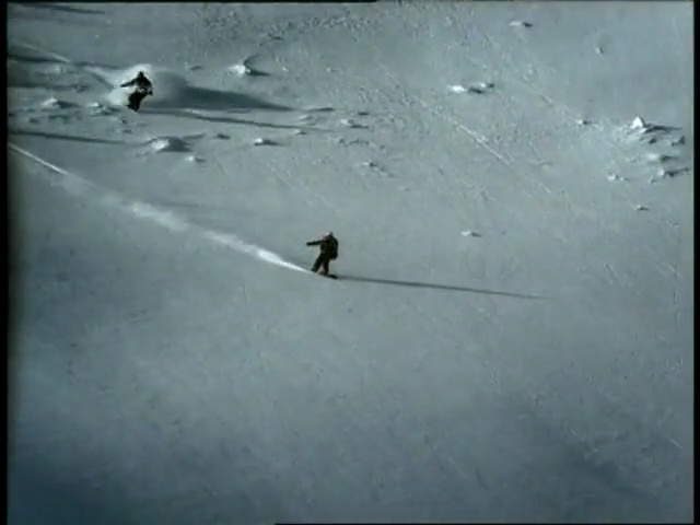 Video Reference: ecosystem, mode of transport, geological phenomenon, atmosphere, bird, sky, freezing, line, ice, snow