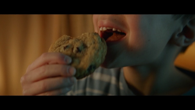Video Reference: Cookies and crackers, Food, Snack, Cookie, Mouth, Baking, Close-up, Baked goods, Finger food, Eating