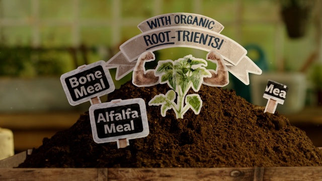 Video Reference: Soil, Plant, Tree, Font, Herb, Signage, Landscape, Sign