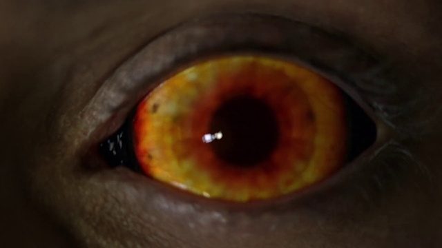 Video Reference: Iris, Eye, Close-up, Organ, Eyelash, Brown, Macro photography, Photography, Human body, Caramel color