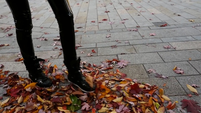 Video Reference: leaf, autumn, shoe, tree, asphalt, Person