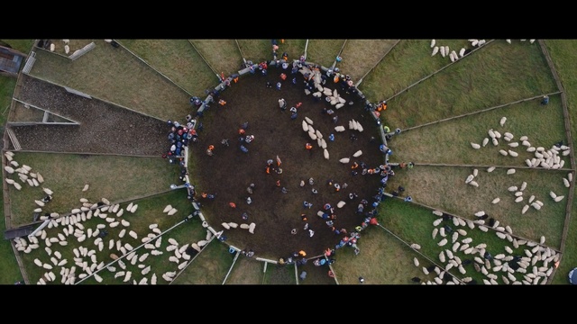 Video Reference: Circle, Photography, Screenshot, World, Aerial photography, Plant, Strategy video game, Games