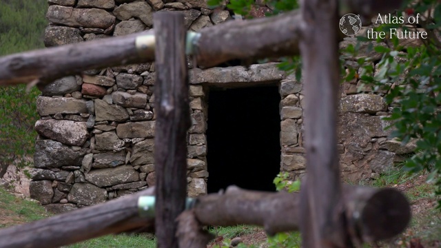 Video Reference: Nature reserve, Tree, Zoo, Landscape, Wildlife, Bear