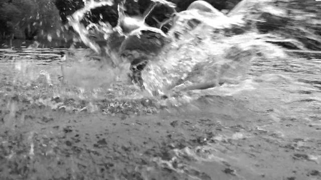 Video Reference: Water, Black-and-white, Monochrome photography, Wave, Monochrome, Photography, Geological phenomenon, Soil