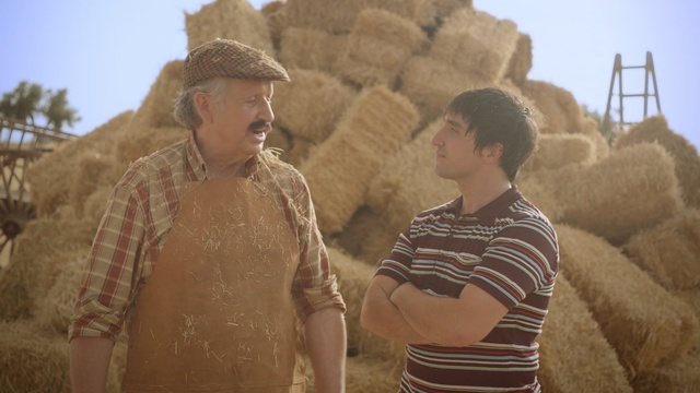 Video Reference: grass family, girl, straw, fun, hay, landscape, commodity, sand, Person