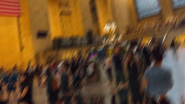 Video Reference: Crowd, People, Event, Basilica, Audience, Place of worship, Church, Temple, Cathedral, City