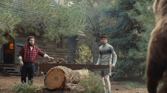 Video Reference: Tree, Woody plant, Wood, Trunk, Adaptation, Woodland, Plant, Woodsman, Landscape, Forest, Person