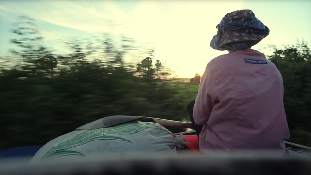 Video Reference: green, nature, vehicle, ecosystem, mode of transport, tree, car, sky, photography, grass