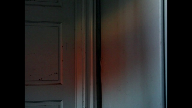 Video Reference: Door, Window, Line, Wood, House, Room, Glass, Hardwood, Home door