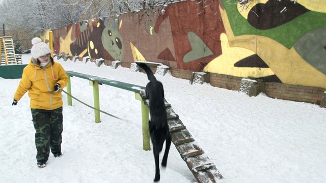 Video Reference: Snow, Winter