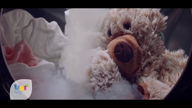 Video Reference: Teddy bear, Stuffed toy, Toy, Plush, Canidae, Fur, Companion dog, Puppy, Dog breed, Bolognese