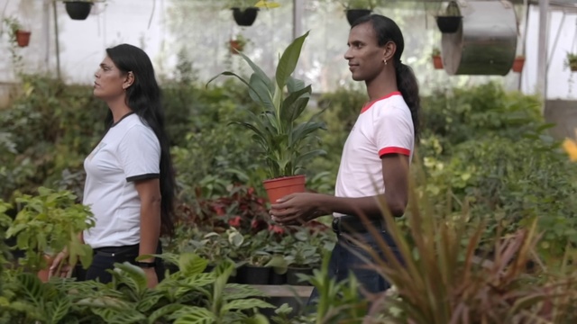 Video Reference: Botany, Plant, Adaptation, Plantation, Terrestrial plant, Farm, Flower, Soil, Garden, Crop